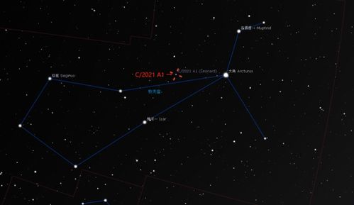 命局实例分析：金白水清蕴藏财富密码