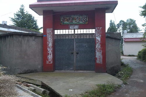 种什么风水树在大门前蕞旺运？