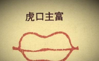 不同类型嘴巴的特征及其影响