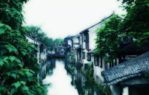 别再被“深圳=搞钱，苏州=养老”的刻板印象绑架了！