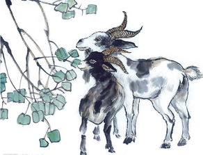 2026年属鸡人运势大转变，未来十年运势如何？