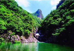 【惊天黑幕】所谓套餐都是馊饭+破车！