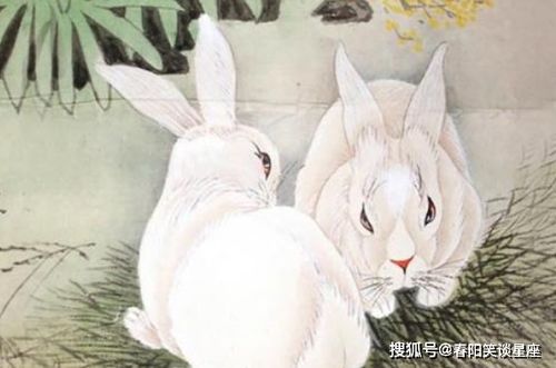 （四）生肖兔：和谐氛围与木元素的滋养