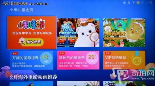 动漫节门票优惠套餐：到底是“白菜价”还是“陷阱较大餐”？