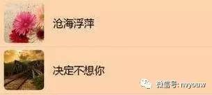 ：数字身份构建与玄学符号的融合