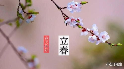 第一一部分：立春节气习俗中的农业生产仪式象征性