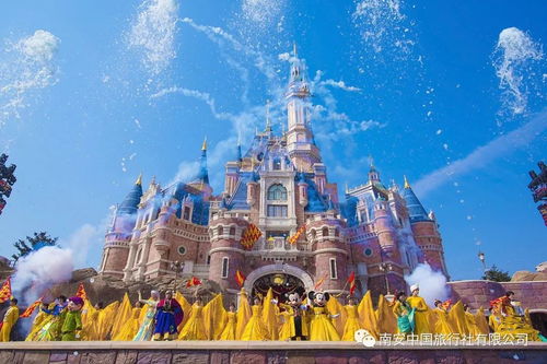 上海迪士尼：花钱买罪受的天堂