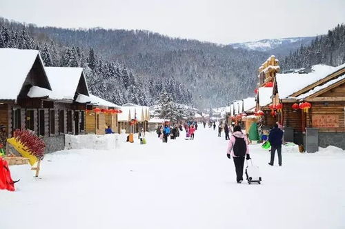 2. 梦幻家园（其实是个装饰过度的小区）