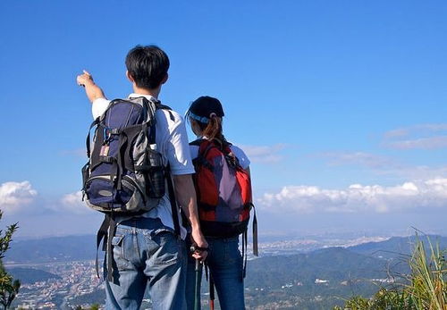 出发前的混乱与噪音