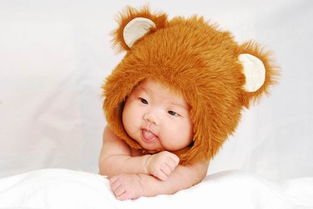 属虎男孩取名时，海童这个名字是否违背了传统的大忌？