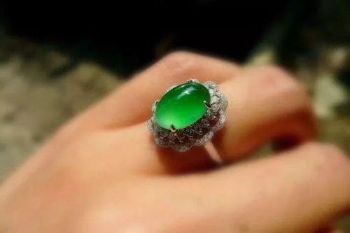 权威机构解读及市场案例分析