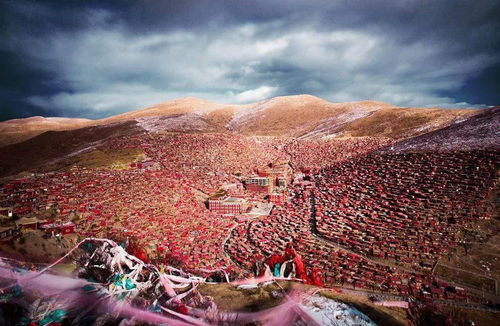 高原反应：我与死亡的距离