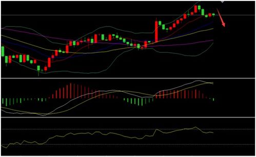 3.3 浪费倾向与理财能力不足