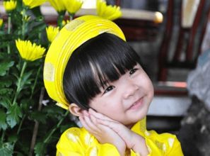 “翠”字的由来和基本信息