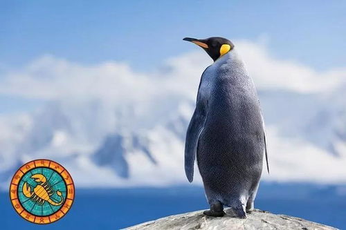 2026年属狗处女座十一月运势和狗女射手座的财运具体如何？