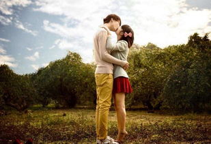 研究背景及问题提出