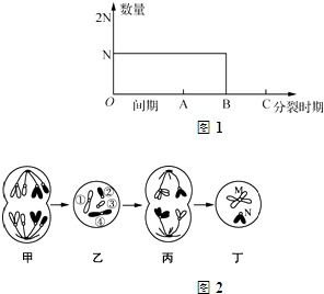 三、  基于性别差异的阴阳点确立法则