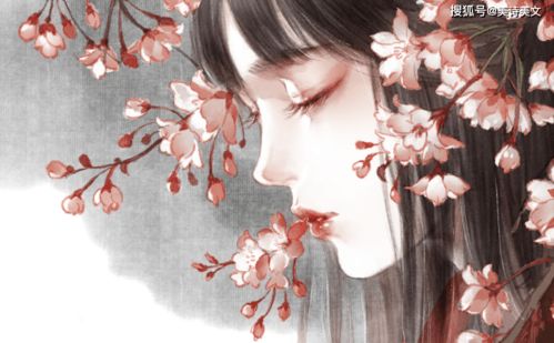 笵星河 (fàn xīng hé)