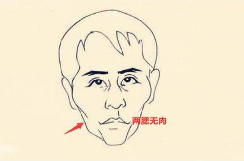 脸肉横长的人最自私