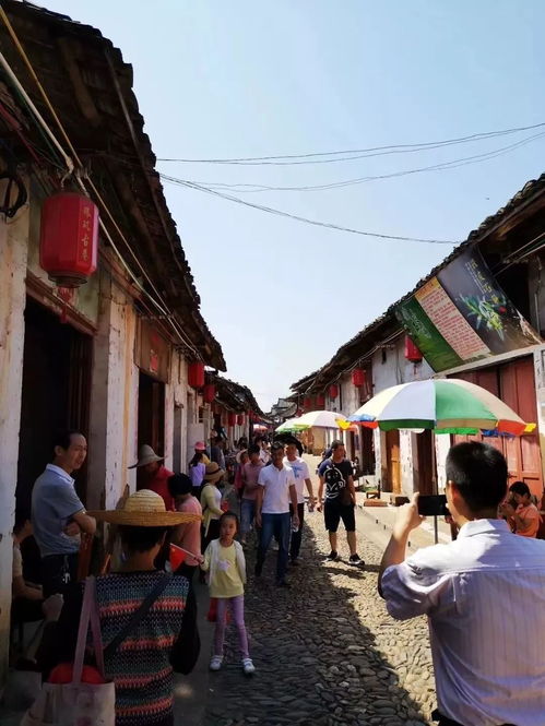 珠玑古巷：被商业活动化的“文化底蕴圣地”，  游客的吐槽实录