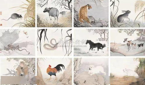 （三） 五行禁忌：水火不容与阳光直射