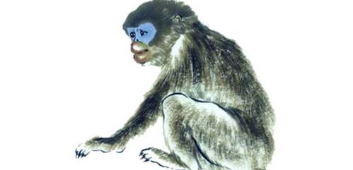 形容年纪很大是哪个生肖？四大才子中状元形容哪个生肖的含义是什么？