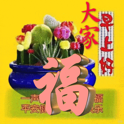 生肖星座视角解析