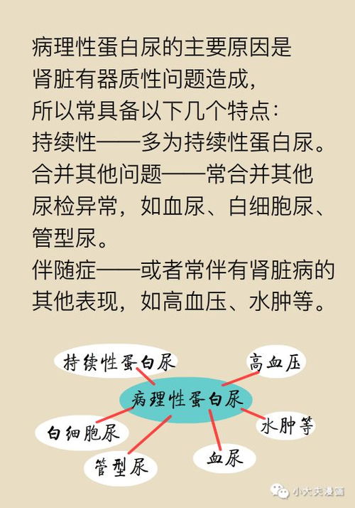 姓名学中的邹傲世