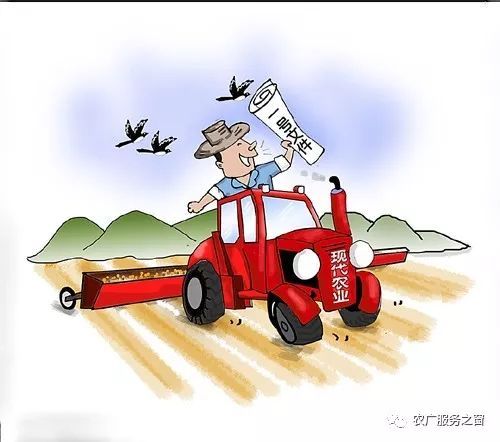 惯与丁丑日的特殊性