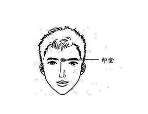 四、 面部特征综合解读：眼部与眉部所映射之行为倾向