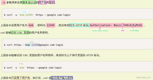 四、 结合 nslookup 与 curl 实现冗余查询机制