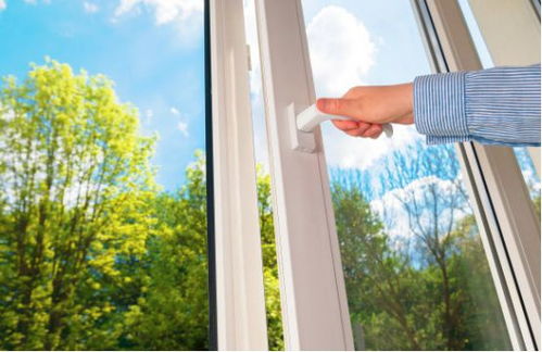 绿植布局与卧室形态的考量