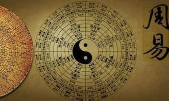 理论框架：八字全局与五行相生相克的综合分析