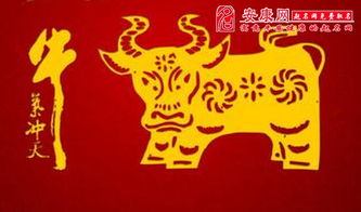 2015年宋韶光属牛运势详解具体包括哪些方面？