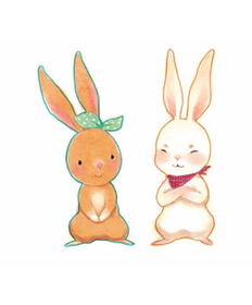 给小兔子起名叫布丁合适吗？这个名字听起来可爱又温馨。