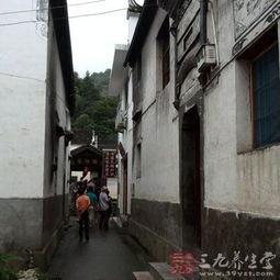 四、 秋季诞生者：金之丰盈与南部聚焦策略