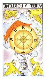 塔罗占卜操作流程概述