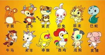 为什么十二生肖的预测如此精准，其背后原理是什么？