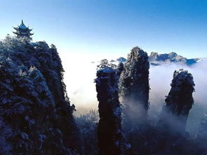 常德到张家界：一场说走就走的“迷路”之旅