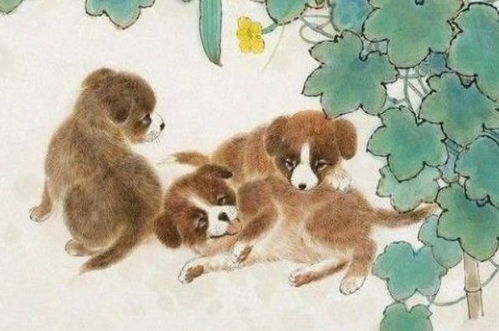 属龙男和属狗女婚姻运势如何？母属狗儿属龙如何化解婚姻运势？