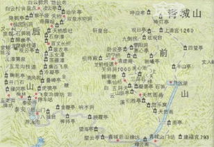 前言：那些没写在攻略里的“后山真相”