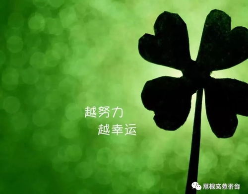 平衡宿命论与自由意志