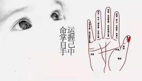 一、 方形下颚：顽固而爱面子的特征表现