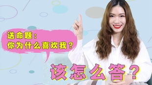 4) 名称案例展示（按不同风格分类）