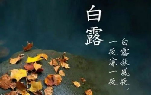 白露节气的溯源与天象定格