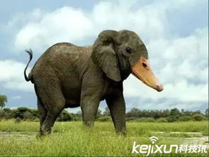 江左夷吾是什么生肖？猜测是哪种生肖动物呢？