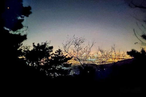 1. 夜色中的感官刺激与情绪投射
