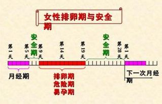 三、怎样准确区分两者？别被套路骗了！