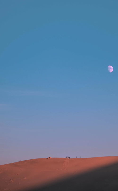 第二章：不想冻成狗？那就去这种奇怪的暖和地方呗