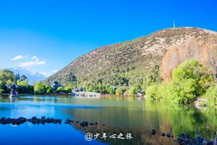 四、 美食探险——从东北乱炖到云南虫子宴，一口气吃遍两省胃袋极限！